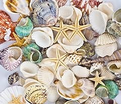Famoby sea shells for sale  Delivered anywhere in USA 