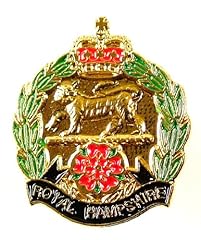 Royal hampshire regiment for sale  Delivered anywhere in UK
