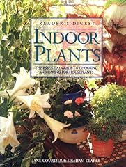 Indoor plants essential for sale  Delivered anywhere in USA 
