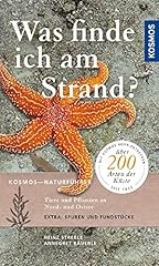 Finde am strand gebraucht kaufen  Wird an jeden Ort in Deutschland