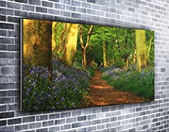 Forest Footpath Panoramic Canvas Print Original Wall for sale  Delivered anywhere in UK