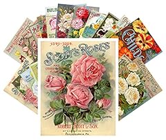 Vintage postcards pcs for sale  Delivered anywhere in USA 