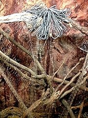 Fischnetz spiegelnetz finland gebraucht kaufen  Wird an jeden Ort in Deutschland