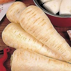 Parsnip white gem for sale  Delivered anywhere in UK