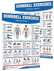 Dumbbell workout poster for sale  Delivered anywhere in USA 