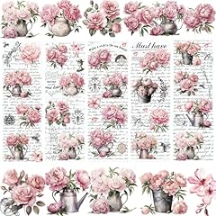 Wandic lot feuilles d'occasion  Livré partout en France