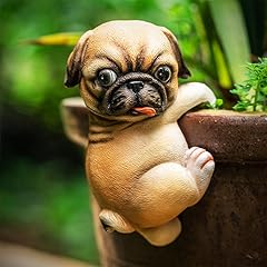 Ccotikosee funny dog for sale  Delivered anywhere in USA 