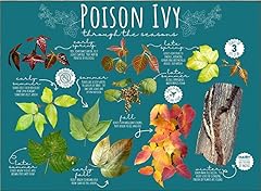 Poison ivy seasonal for sale  Delivered anywhere in USA 