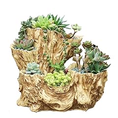 Yanmilia driftwood planter for sale  Delivered anywhere in USA 