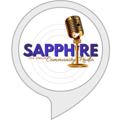 Sapphire radio for sale  Delivered anywhere in USA 