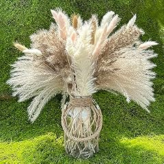 Dried pampas grass for sale  Delivered anywhere in USA 