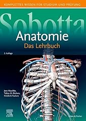 Sobotta lehrbuch anatomie gebraucht kaufen  Wird an jeden Ort in Deutschland