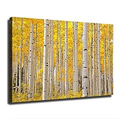 Trees fall colorado for sale  Delivered anywhere in USA 