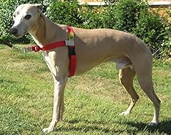 Walk dog love for sale  Delivered anywhere in UK