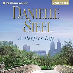 Perfect life novel for sale  Delivered anywhere in UK