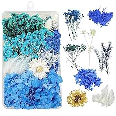 Fleurs séchées fleur d'occasion  Livré partout en France