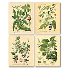 Gango home decor for sale  Delivered anywhere in USA 