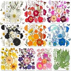 301pcs dried pressed for sale  Delivered anywhere in USA 