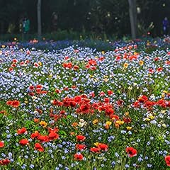 Wildblumensamenmischung einfac gebraucht kaufen  Wird an jeden Ort in Deutschland