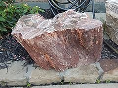 Contour polished petrified for sale  Delivered anywhere in USA 