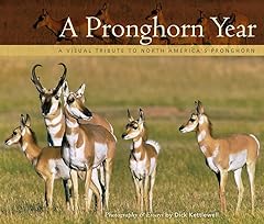 Pronghorn year visual for sale  Delivered anywhere in USA 