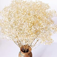 4000 dried babys for sale  Delivered anywhere in USA 
