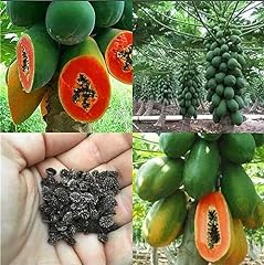 Garden plant seed for sale  Delivered anywhere in USA 