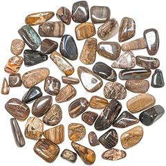 Bois fossile roulée d'occasion  Livré partout en France