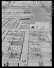 Historicalfindings photo union for sale  Delivered anywhere in USA 
