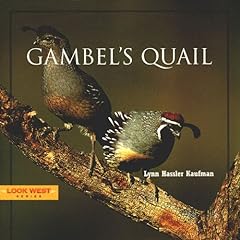 Gambel quail for sale  Delivered anywhere in Ireland