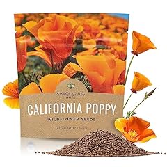 California orange poppy for sale  Delivered anywhere in USA 