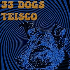 Teisco gebraucht kaufen  Wird an jeden Ort in Deutschland