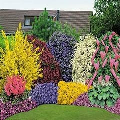 Mixed established garden for sale  Delivered anywhere in UK