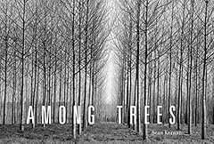 Among trees for sale  Delivered anywhere in USA 