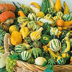 Small gourd mix for sale  Delivered anywhere in USA 