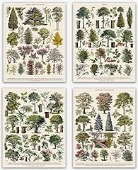 Botanical prints wall for sale  Delivered anywhere in UK