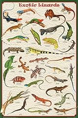 Exotic lizards poster for sale  Delivered anywhere in USA 