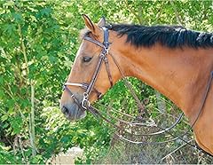 gogue cheval d'occasion  Livré partout en France