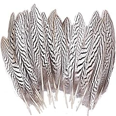 Sowder 10pcs silver for sale  Delivered anywhere in USA 