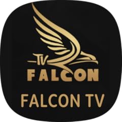 Falcon player pro for sale  Delivered anywhere in UK