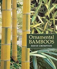 Ornamental bamboos for sale  Delivered anywhere in USA 