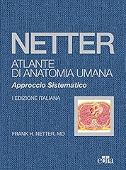 Netter. atlante anatomia usato  Spedito ovunque in Italia 