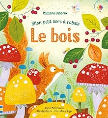 Bois petit livre d'occasion  Livré partout en France