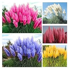 1000 mix pampas for sale  Delivered anywhere in USA 