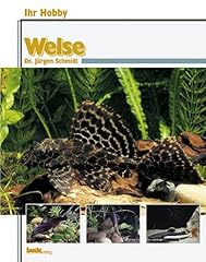 Welse ihr hobby gebraucht kaufen  Wird an jeden Ort in Deutschland