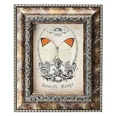 Framed butterfly taxidermy for sale  Delivered anywhere in USA 