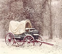 Chuck wagon snow for sale  Delivered anywhere in USA 