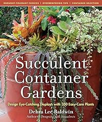 Succulent container gardens for sale  Delivered anywhere in UK