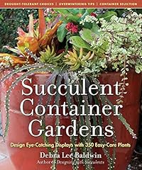 Succulent container gardens for sale  Delivered anywhere in UK