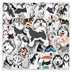 Otysliu alaskan dog for sale  Delivered anywhere in USA 